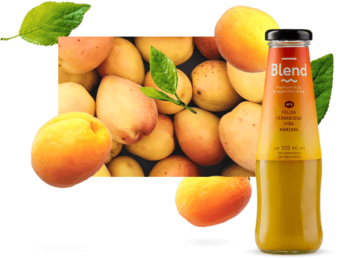 left-img-apricot (1) left-img-apricot (1)