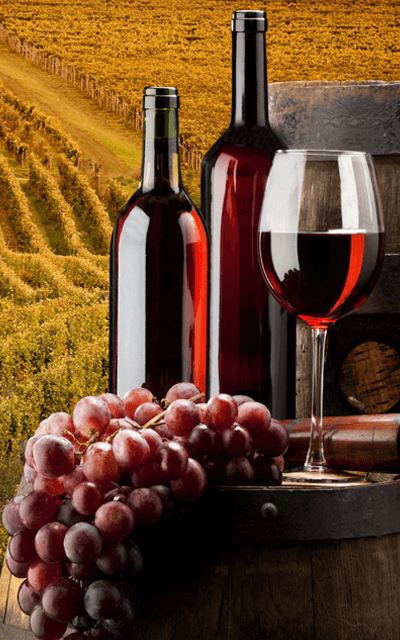 vino-5